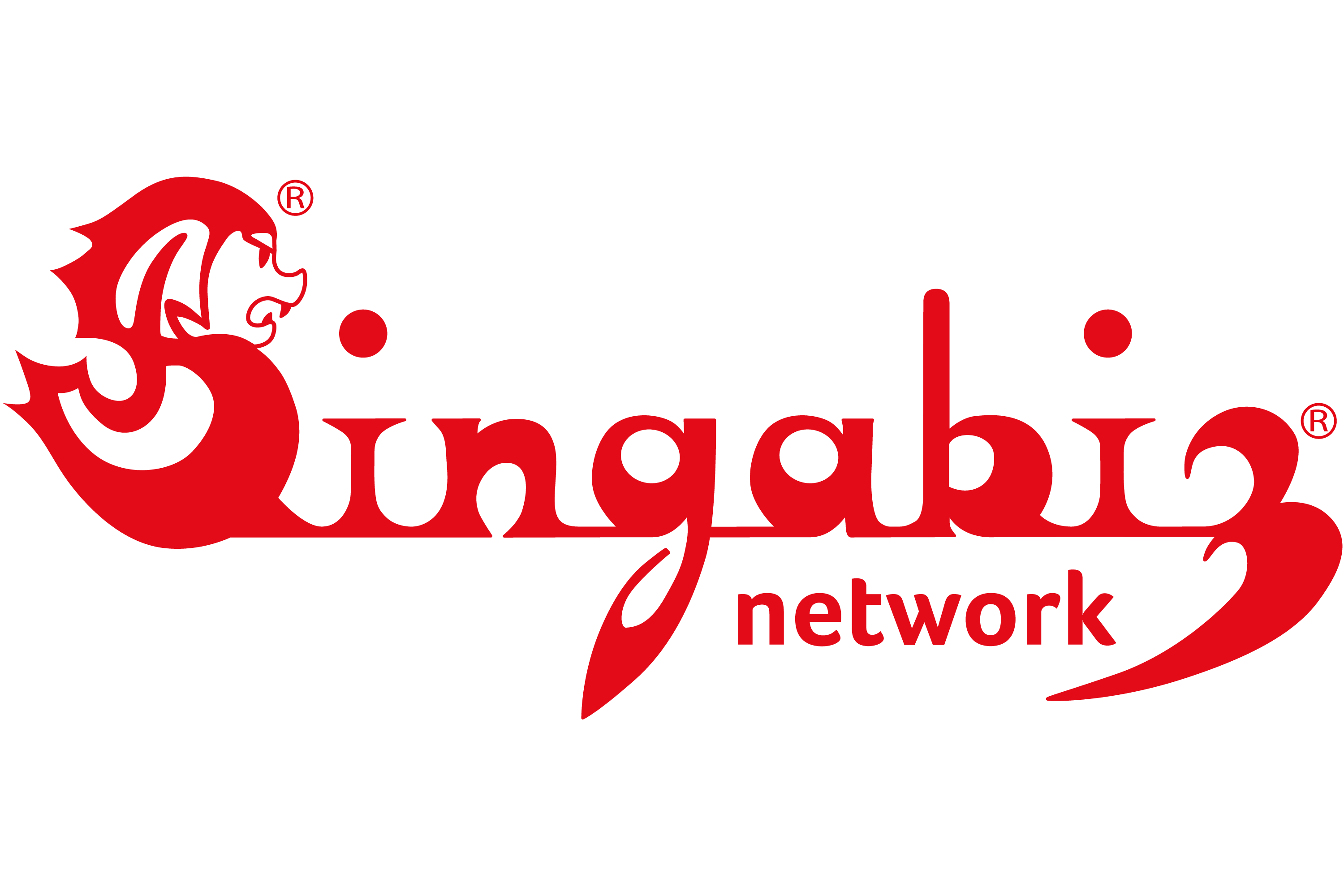 Singabiz Network